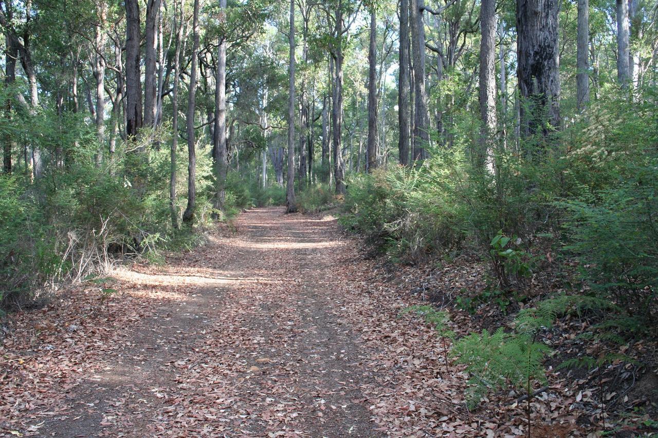 Wellington Forest Cottages Eksteriør billede